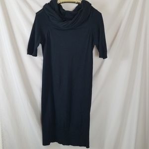Max and Cleo Cowl Neck Sweater Dress